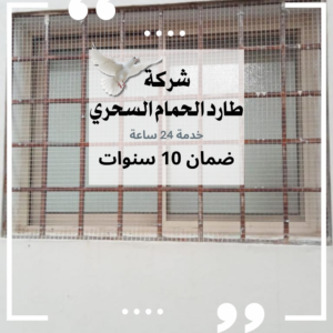الحل السحري لطرد الحمام 24 ساعة في اليوم!