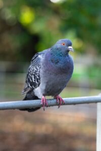 مقارنة بين الرش الوقائي والمكافحة